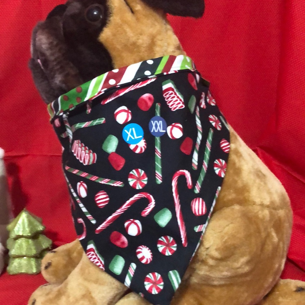 Color capes for dogs Christmas